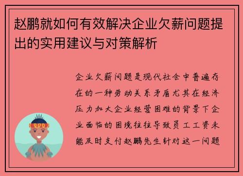 赵鹏就如何有效解决企业欠薪问题提出的实用建议与对策解析
