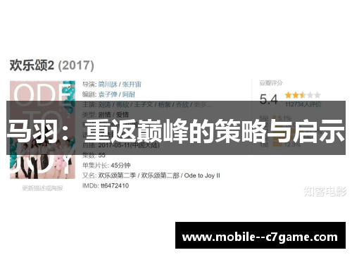 马羽：重返巅峰的策略与启示