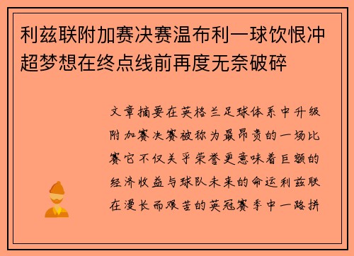 利兹联附加赛决赛温布利一球饮恨冲超梦想在终点线前再度无奈破碎 利兹联附加赛决赛温布利一球饮恨冲超梦想在终点线前再度无奈破碎